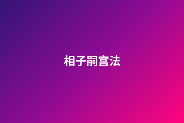 相子嗣宫法