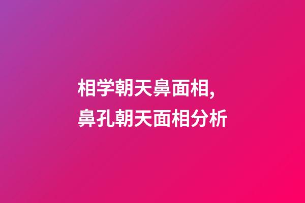 相学朝天鼻面相,鼻孔朝天面相分析