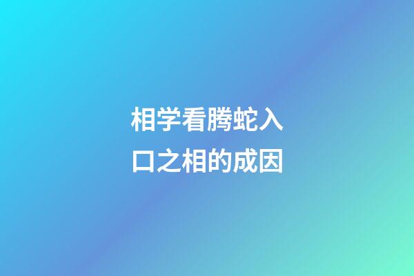 相学看腾蛇入口之相的成因