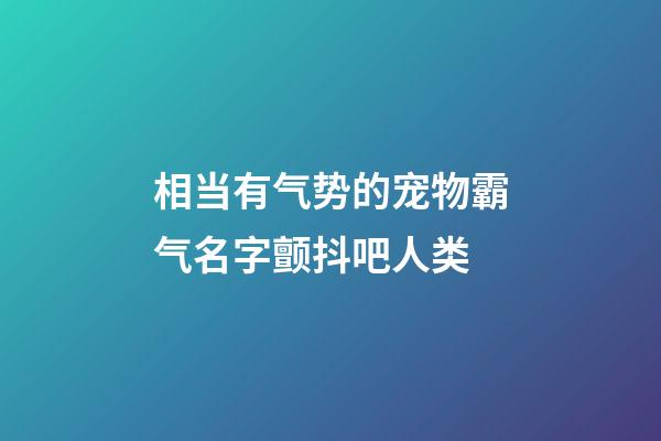 相当有气势的宠物霸气名字颤抖吧人类