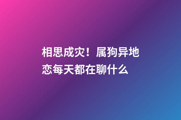 相思成灾！属狗异地恋每天都在聊什么
