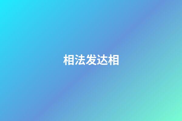 相法发达相