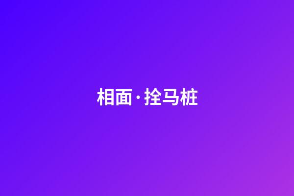 相面·拴马桩
