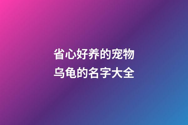 省心好养的宠物乌龟的名字大全