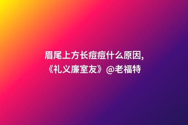 眉尾上方长痘痘什么原因,《礼义廉室友》@老福特-第1张-观点-玄机派