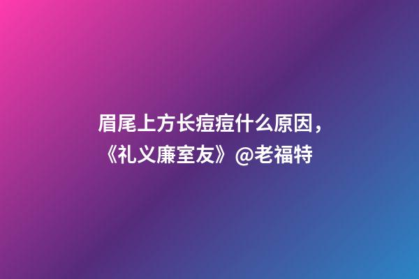 眉尾上方长痘痘什么原因，《礼义廉室友》@老福特-第1张-观点-玄机派