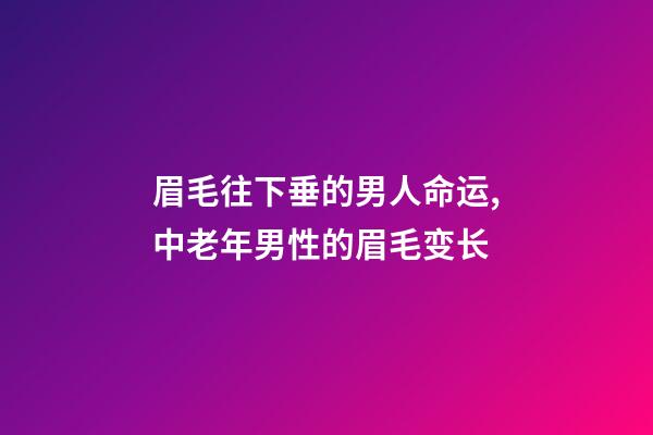 眉毛往下垂的男人命运,中老年男性的眉毛变长-第1张-观点-玄机派