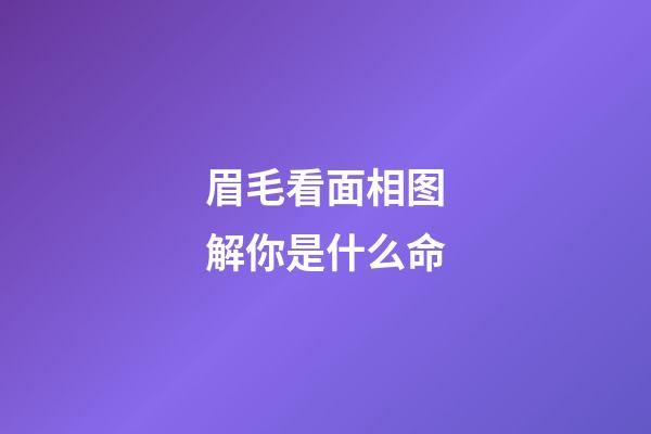 眉毛看面相图解你是什么命