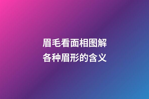 眉毛看面相图解各种眉形的含义