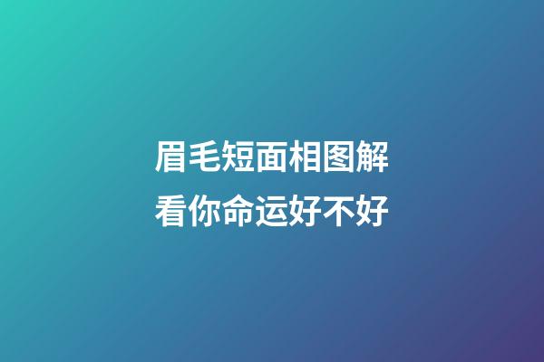眉毛短面相图解看你命运好不好