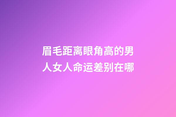 眉毛距离眼角高的男人女人命运差别在哪