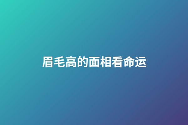 眉毛高的面相看命运