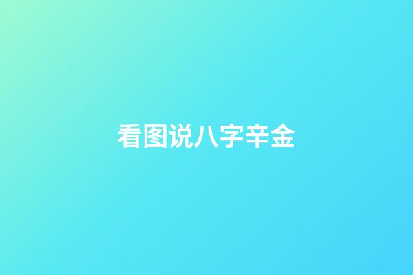 看图说八字辛金