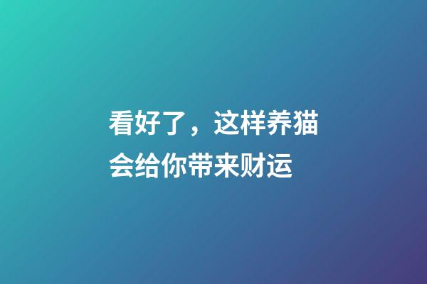 看好了，这样养猫会给你带来财运
