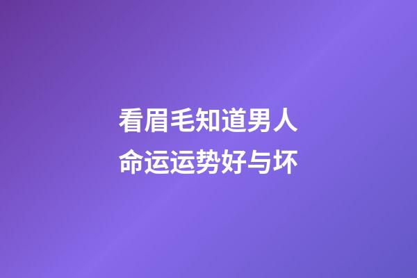 看眉毛知道男人命运运势好与坏
