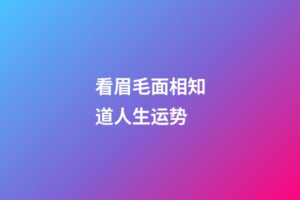 看眉毛面相知道人生运势