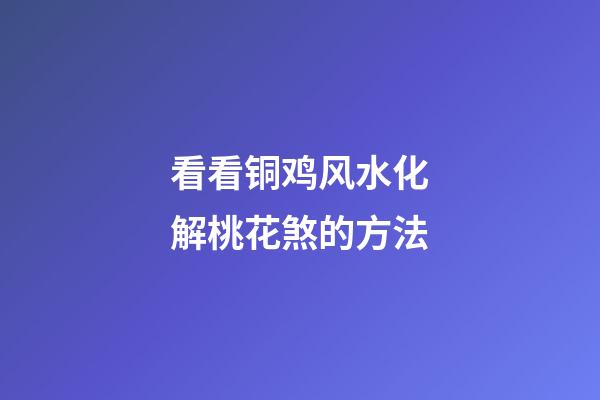 看看铜鸡风水化解桃花煞的方法
