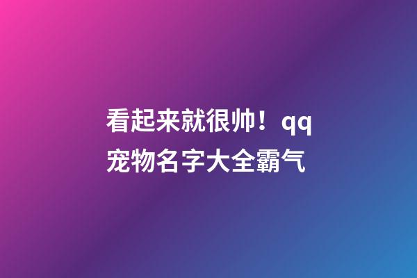 看起来就很帅！qq宠物名字大全霸气