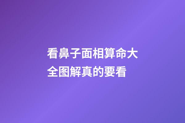 看鼻子面相算命大全图解真的要看