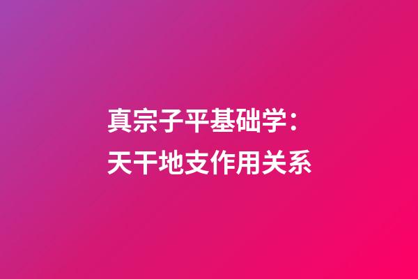 真宗子平基础学：天干地支作用关系