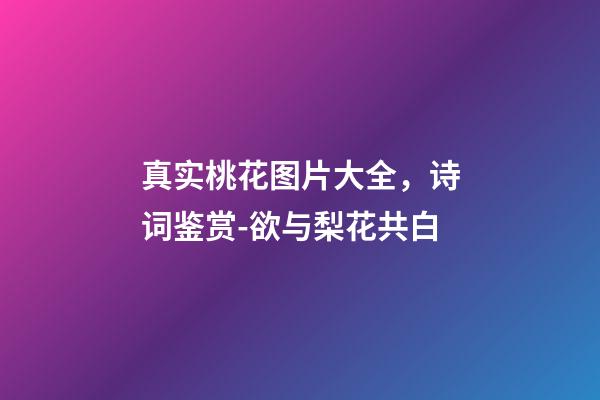 真实桃花图片大全，诗词鉴赏-欲与梨花共白-第1张-观点-玄机派