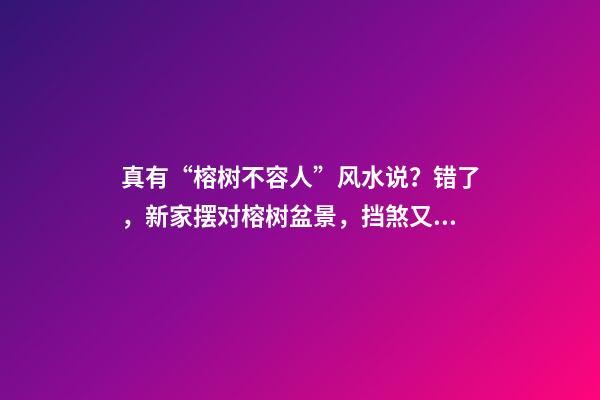 真有“榕树不容人”风水说？错了，新家摆对榕树盆景，挡煞又辟邪