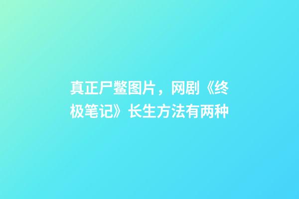 真正尸鳖图片，网剧《终极笔记》长生方法有两种-第1张-观点-玄机派