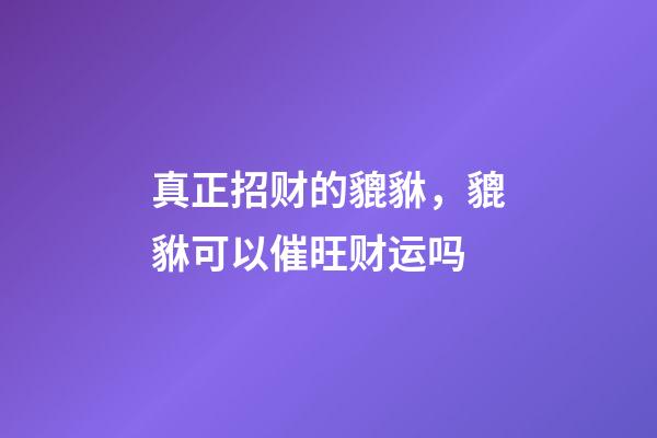 真正招财的貔貅，貔貅可以催旺财运吗