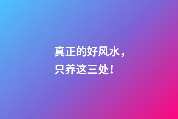 真正的好风水，只养这三处！