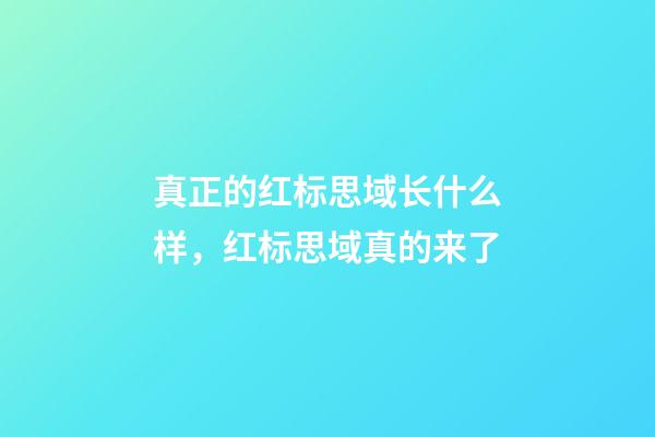 真正的红标思域长什么样，红标思域真的来了-第1张-观点-玄机派