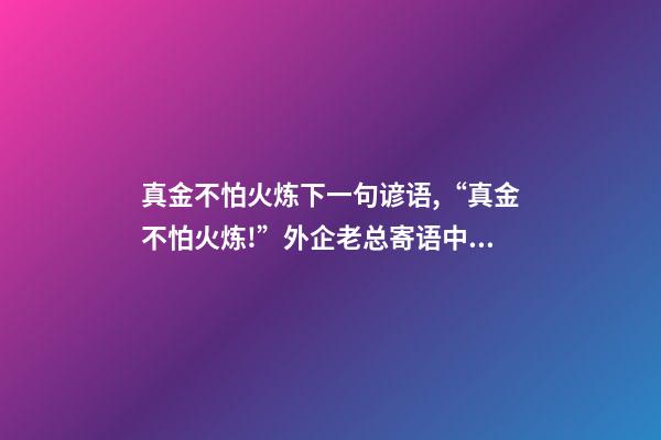 真金不怕火炼下一句谚语,“真金不怕火炼!”外企老总寄语中国经济-第1张-观点-玄机派