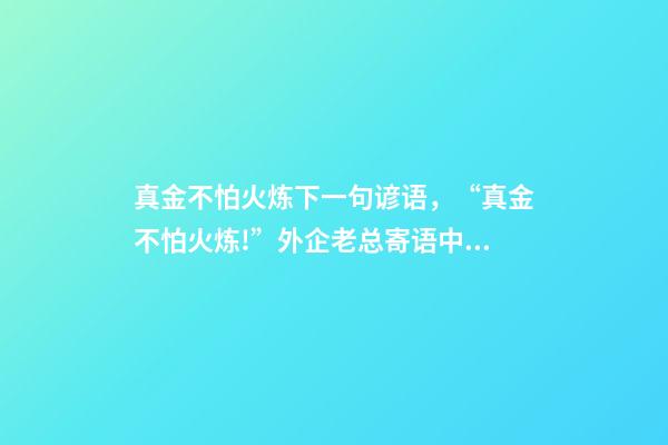 真金不怕火炼下一句谚语，“真金不怕火炼!”外企老总寄语中国经济-第1张-观点-玄机派