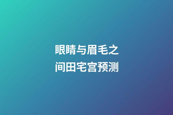眼睛与眉毛之间田宅宫预测