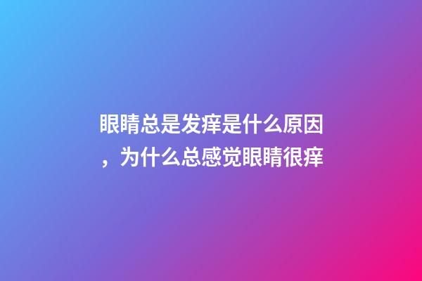 眼睛总是发痒是什么原因，为什么总感觉眼睛很痒-第1张-观点-玄机派