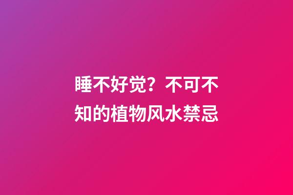 睡不好觉？不可不知的植物风水禁忌