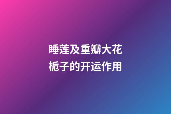 睡莲及重瓣大花栀子的开运作用