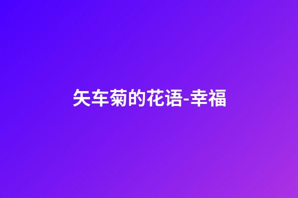 矢车菊的花语-幸福