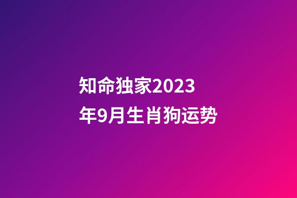 知命独家2023年9月生肖狗运势
