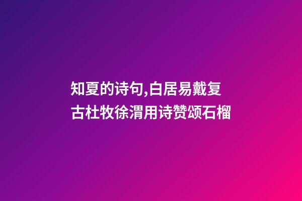 知夏的诗句,白居易戴复古杜牧徐渭用诗赞颂石榴-第1张-观点-玄机派