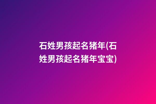 石姓男孩起名猪年(石姓男孩起名猪年宝宝)