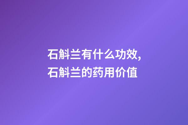 石斛兰有什么功效,石斛兰的药用价值-第1张-观点-玄机派