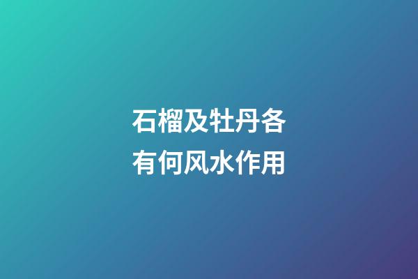 石榴及牡丹各有何风水作用?