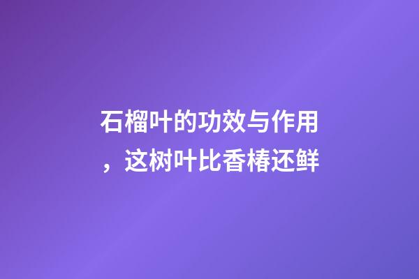 石榴叶的功效与作用，这树叶比香椿还鲜-第1张-观点-玄机派
