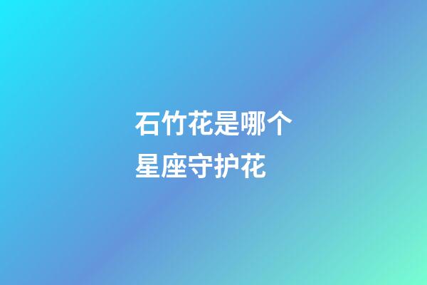 石竹花是哪个星座守护花