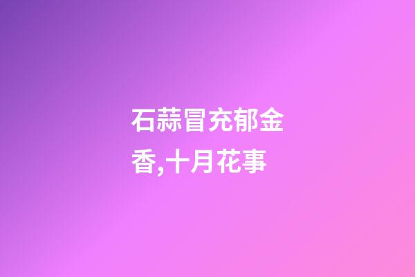 石蒜冒充郁金香,十月花事-第1张-观点-玄机派