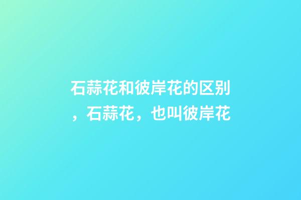 石蒜花和彼岸花的区别，石蒜花，也叫彼岸花-第1张-观点-玄机派