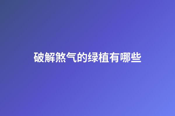 破解煞气的绿植有哪些