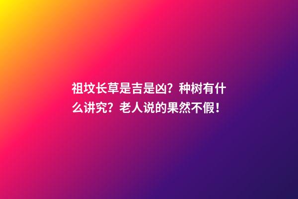 祖坟长草是吉是凶？种树有什么讲究？老人说的果然不假！