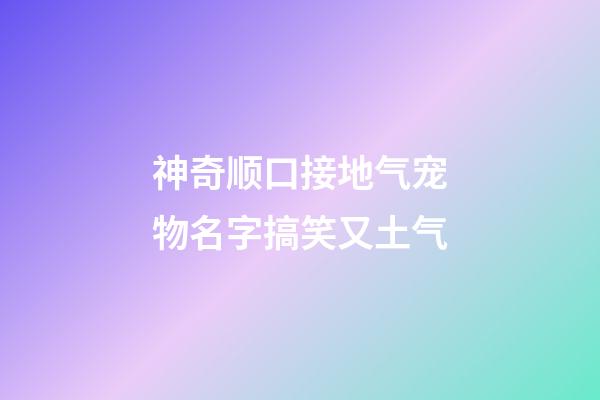 神奇顺口接地气宠物名字搞笑又土气