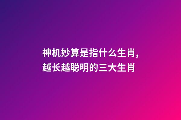 神机妙算是指什么生肖,越长越聪明的三大生肖-第1张-观点-玄机派